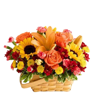 Fields of Europe for Fall Basket
