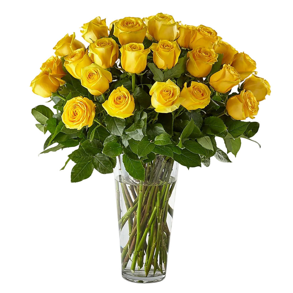 Long Stem Yellow Rose Bouquet