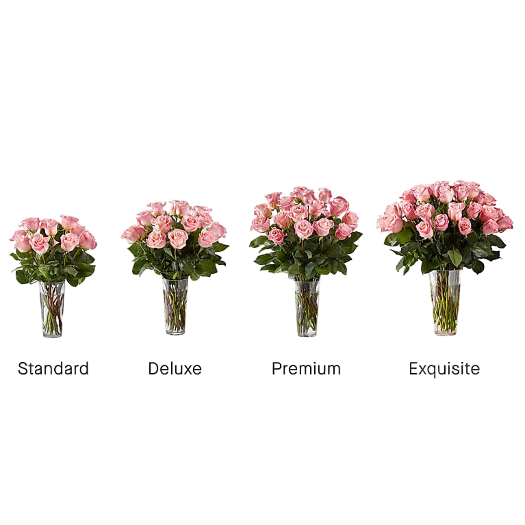 Long Stem Pink Rose Bouquet