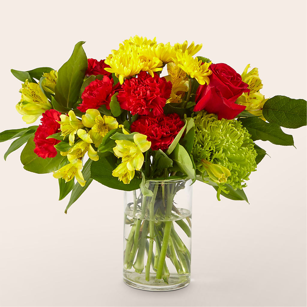 Ramo del lado brillante