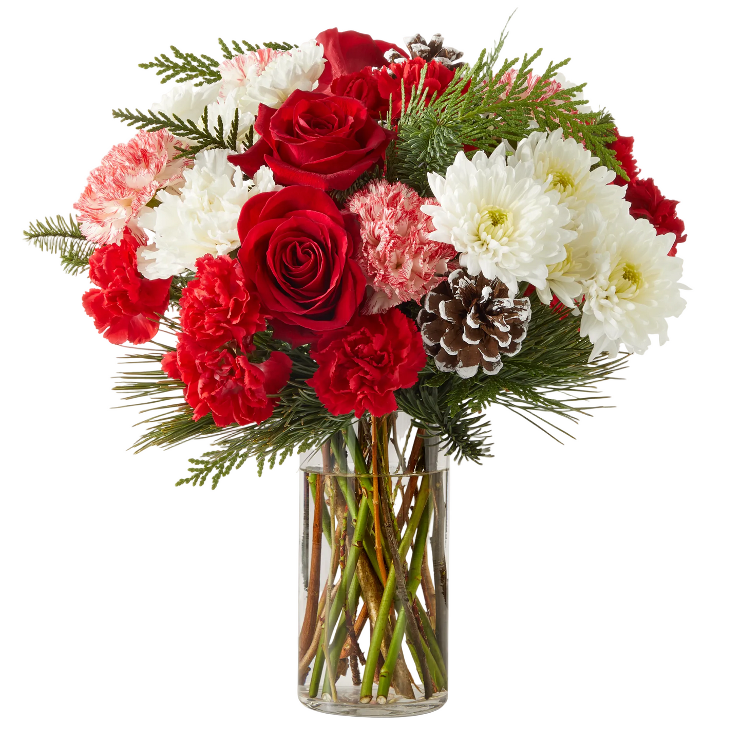 Ramo Candy Cane Lane