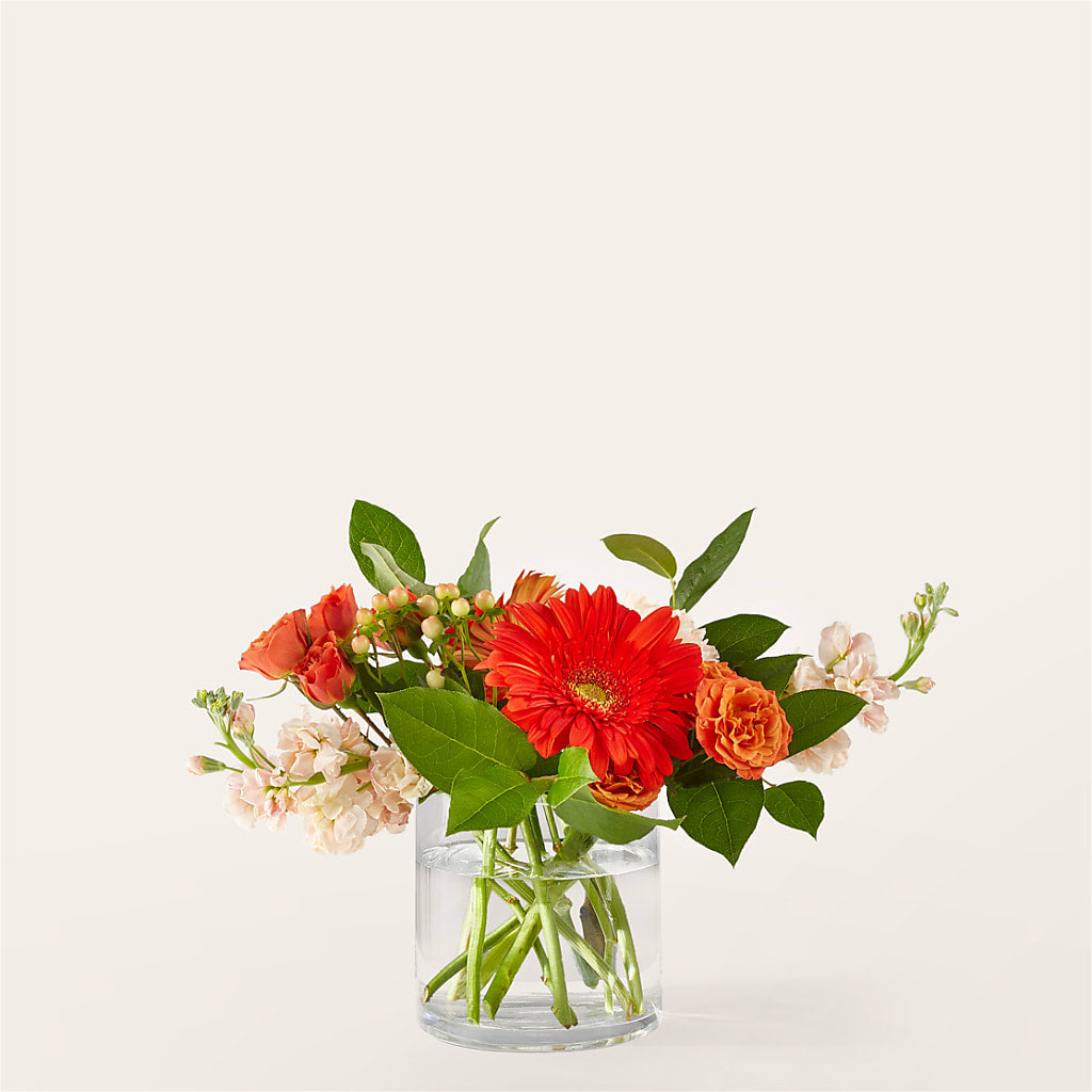 Ramo Paloma Por Favor