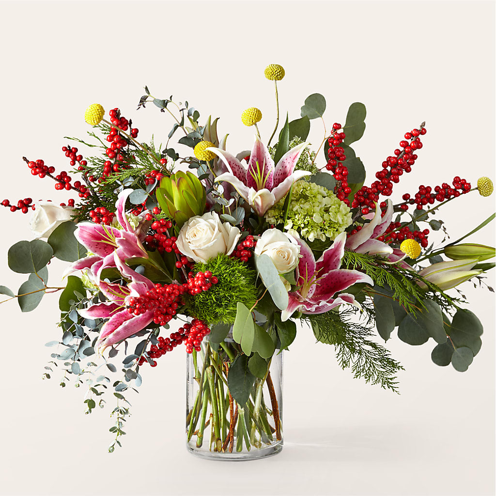 Ramo de bayas y brillo