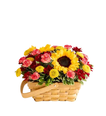 Fields of Europe for Fall Basket