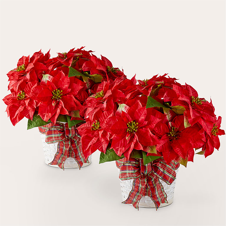 Happiest Holidays Poinsettia Bundle