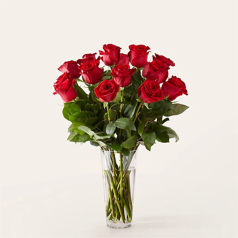 Long Stem Red Rose Bouquet