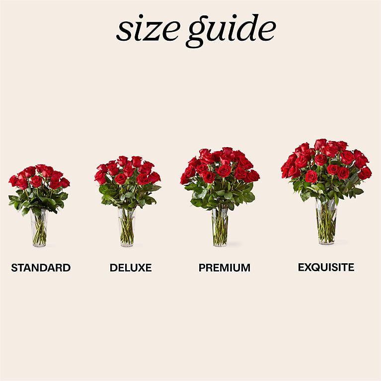 Long Stem Red Rose Bouquet