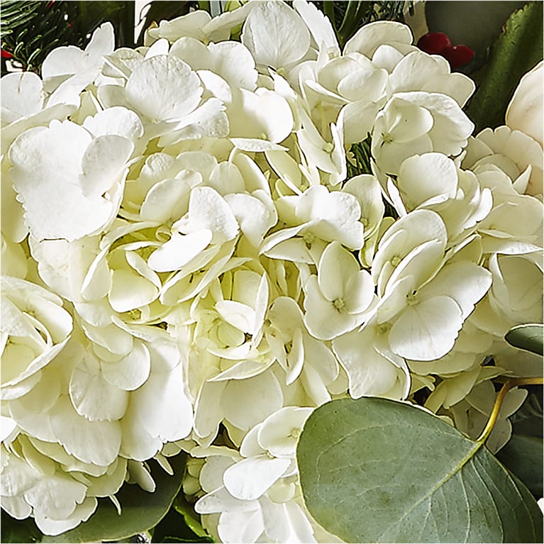 Frosted Windows Bouquet