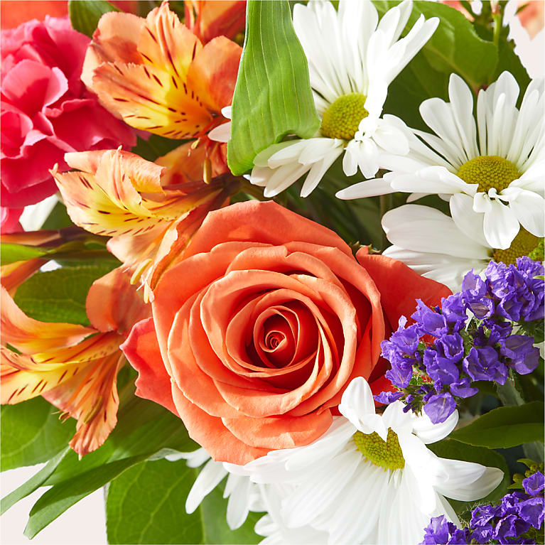 Oopsie Daisy Box Bouquet