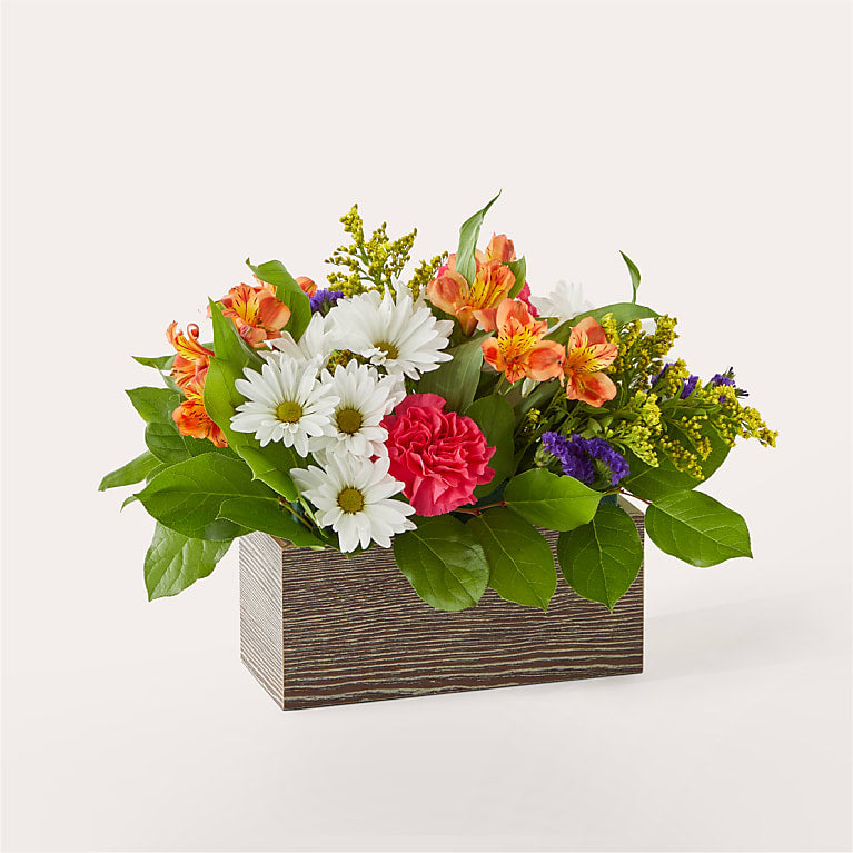 Oopsie Daisy Box Bouquet
