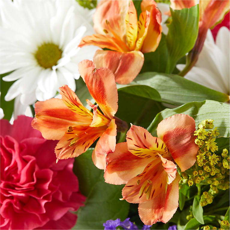 Oopsie Daisy Box Bouquet