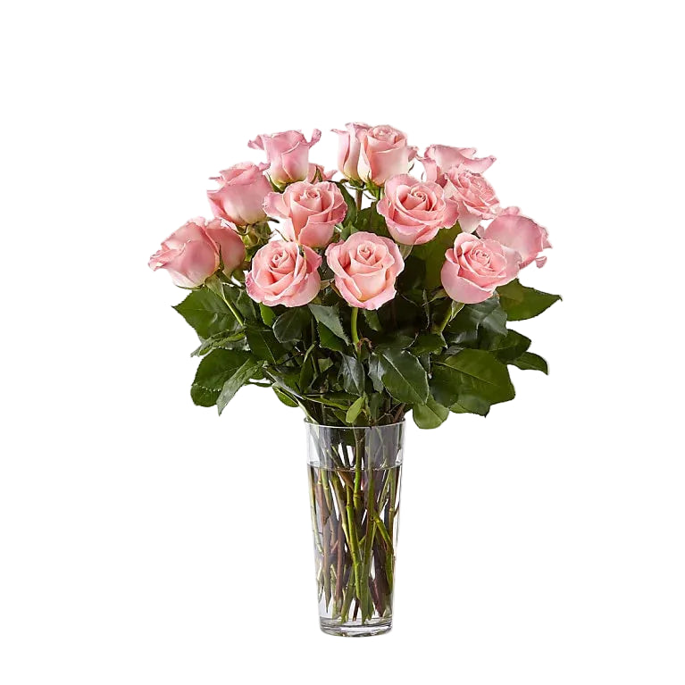 Long Stem Pink Rose Bouquet