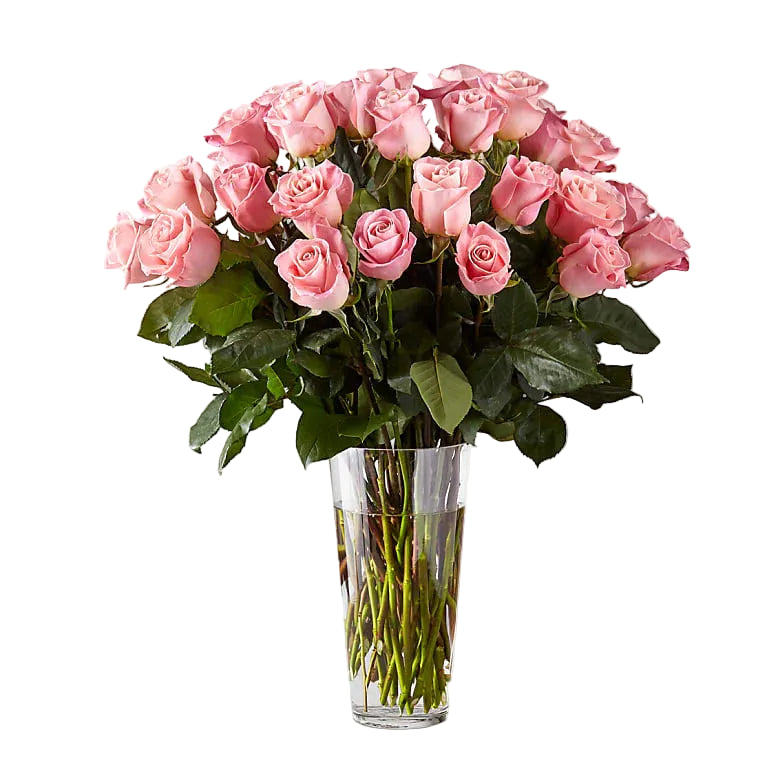 Long Stem Pink Rose Bouquet