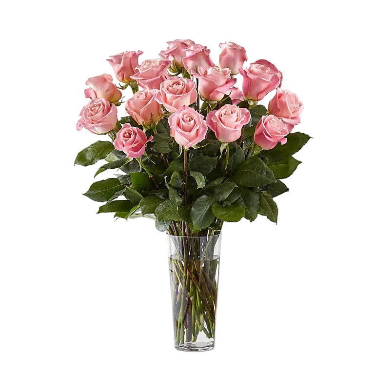 Long Stem Pink Rose Bouquet