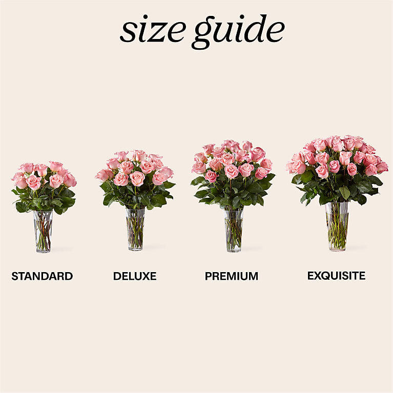 Long Stem Pink Rose Bouquet