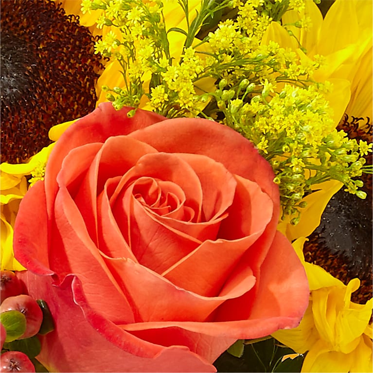 Pick of the Patch Pumpkin Bouquet