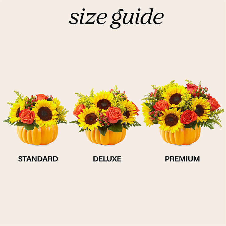 Pick of the Patch Pumpkin Bouquet