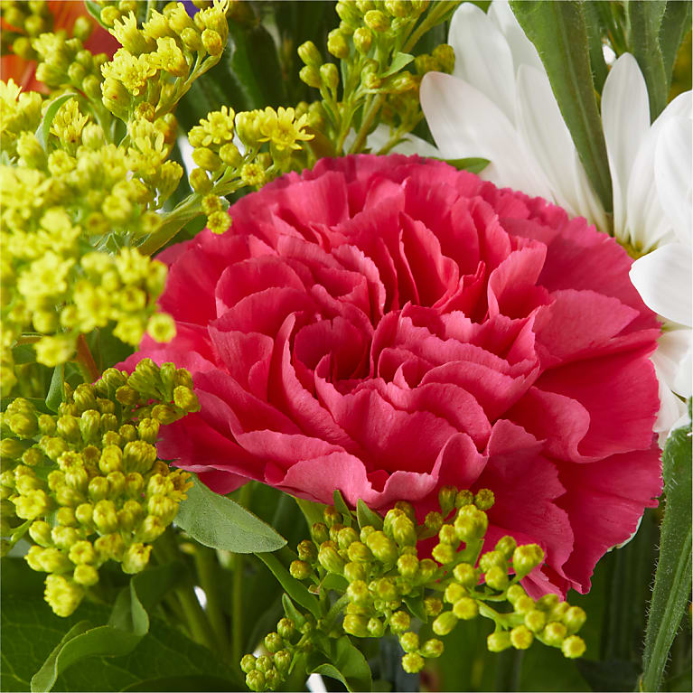 Oopsie Daisy Bouquet