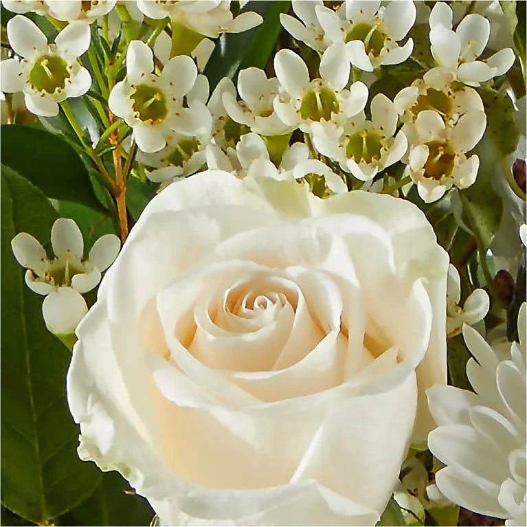 New Beginnings – A Florist Original