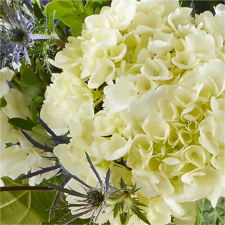 Festival of Lights – A Florist Original