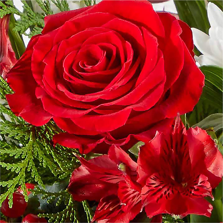 Merry Moment Bouquet – A Florist Original