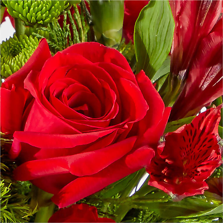 Merry Moment Bouquet – A Florist Original