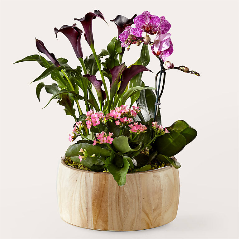 Sending a Garden of Love