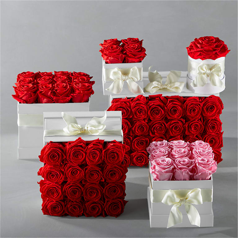 Red Forever Roses
