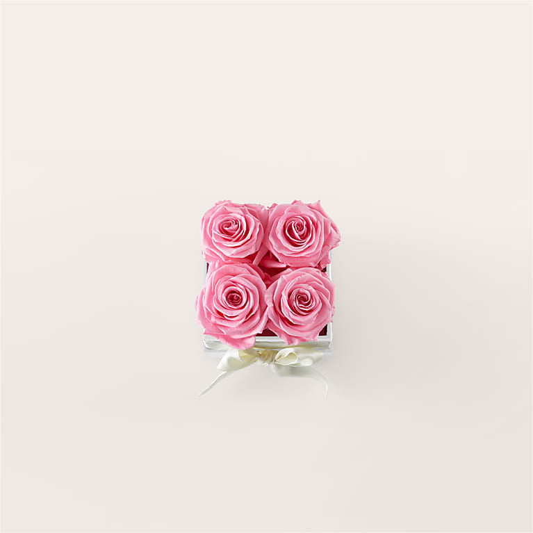 Pink Forever Roses