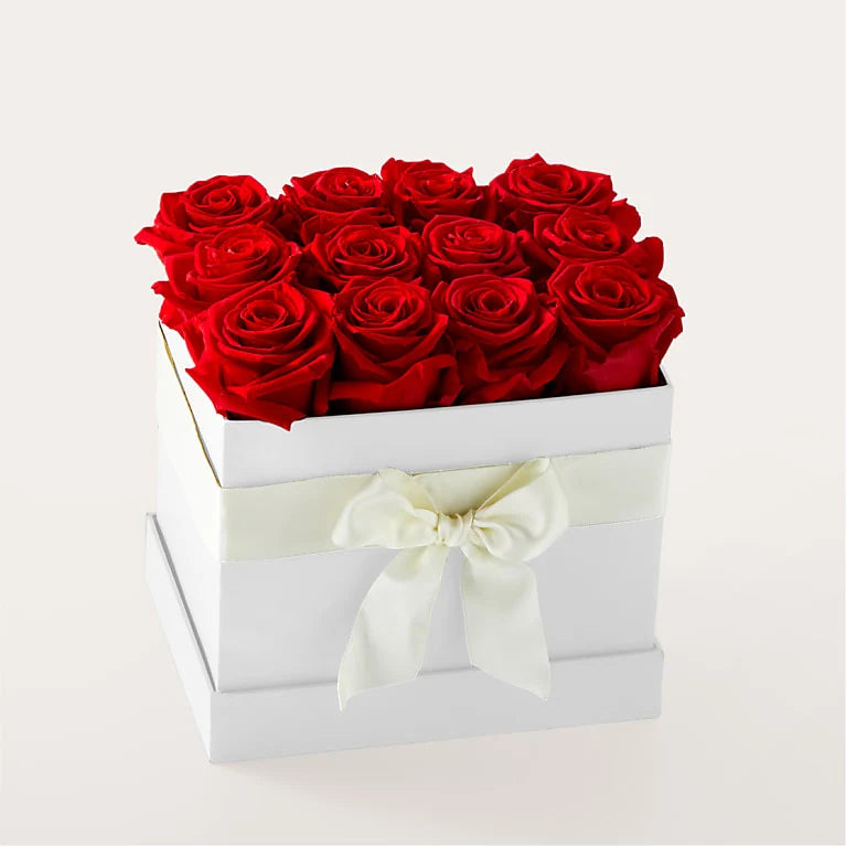Red Forever Roses