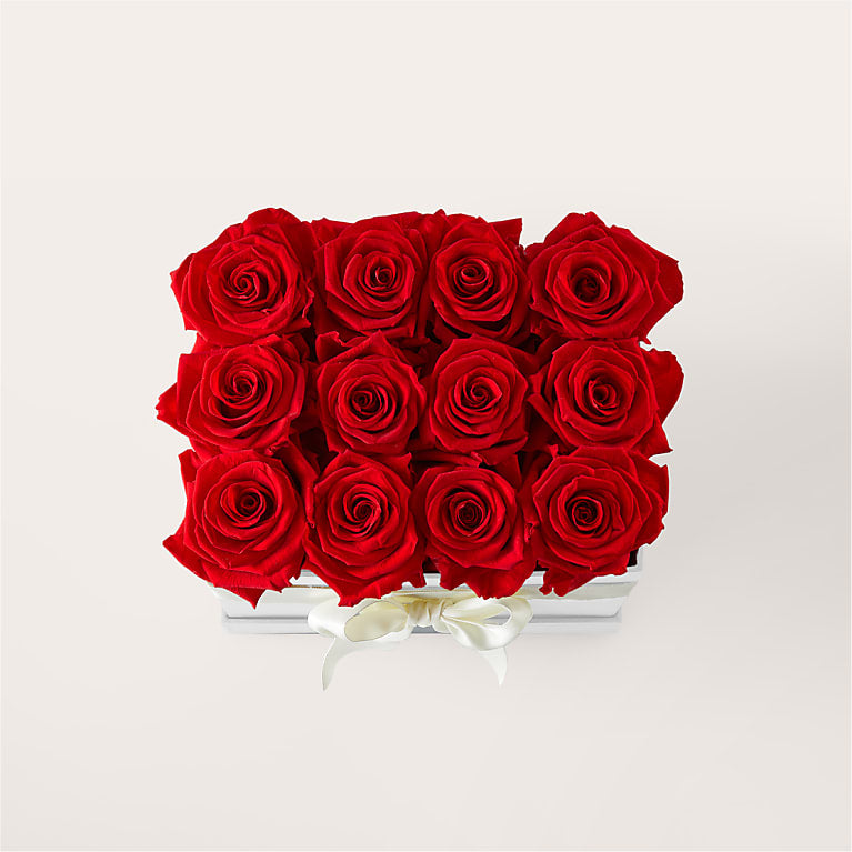 Red Forever Roses