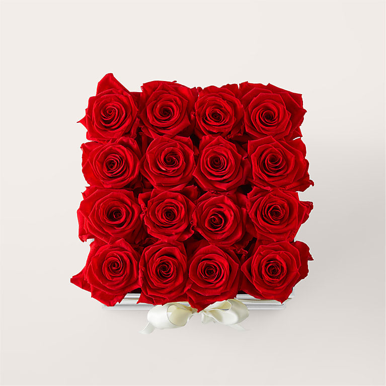 Red Forever Roses
