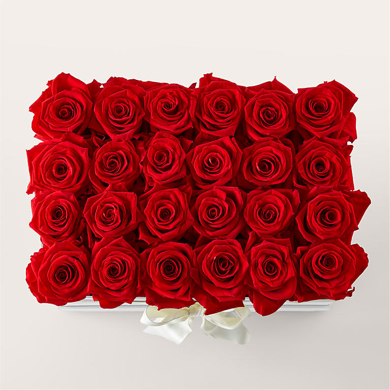 Red Forever Roses
