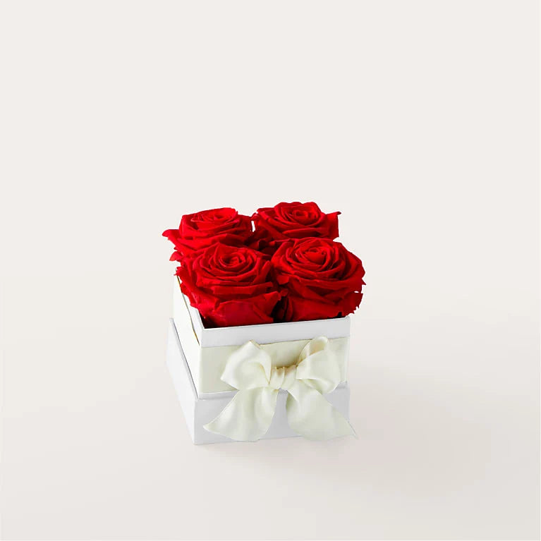 Red Forever Roses