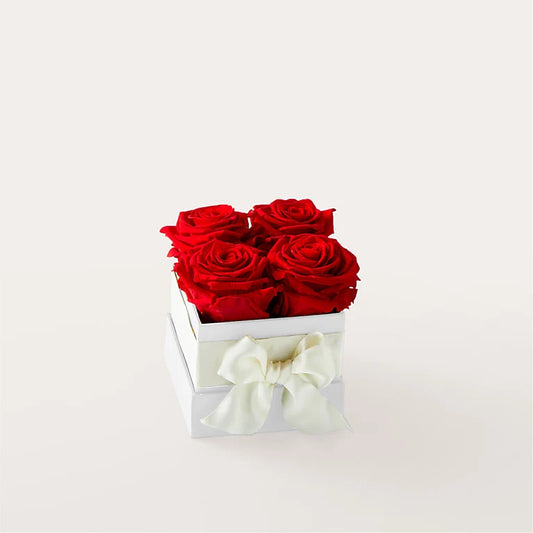Red Forever Roses