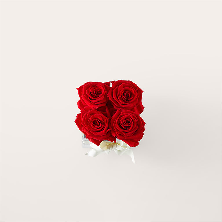 Red Forever Roses