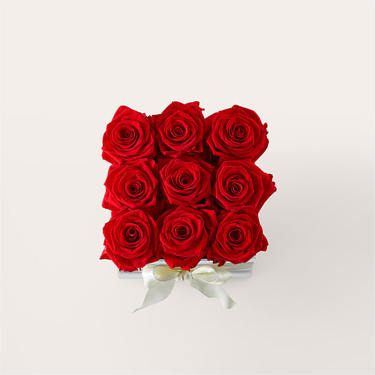 Red Forever Roses