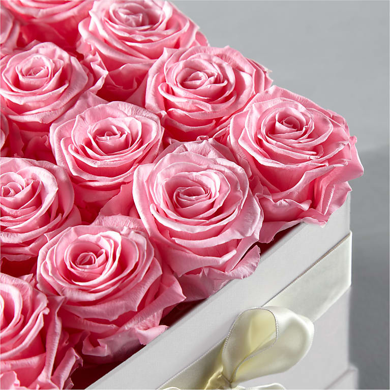 Pink Forever Roses
