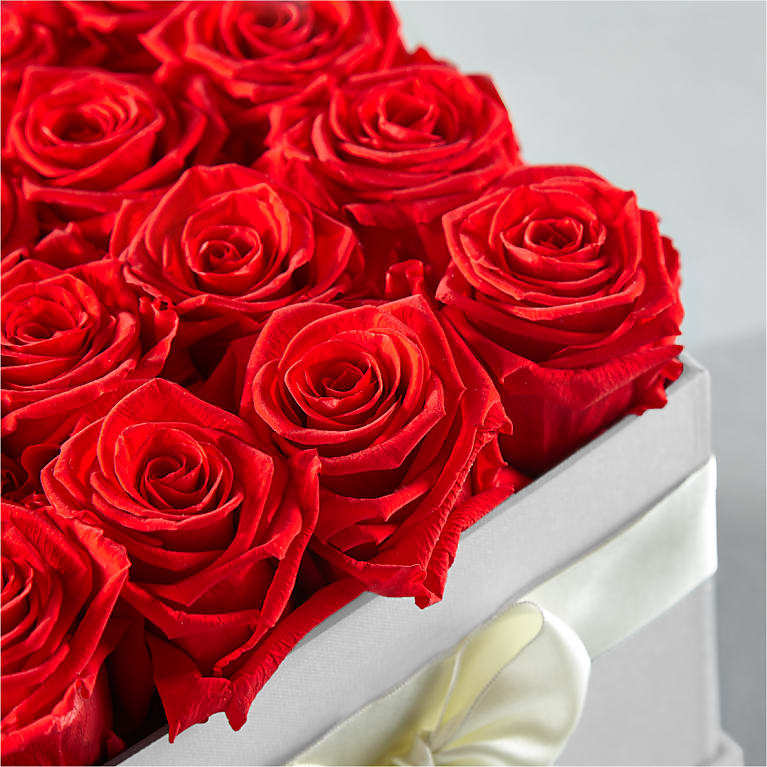 Red Forever Roses