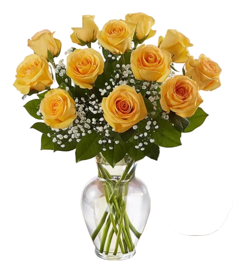 Rose Elegance Premium Long Stem Yellow Roses