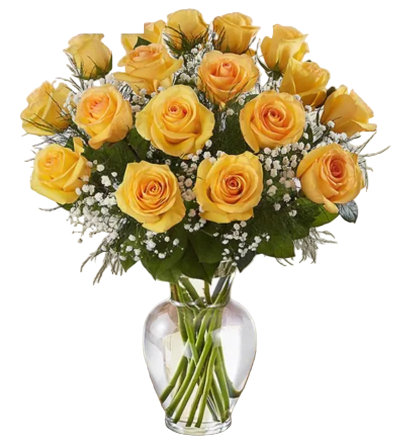 Rose Elegance Premium Long Stem Yellow Roses