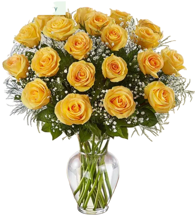 Rose Elegance Premium Long Stem Yellow Roses