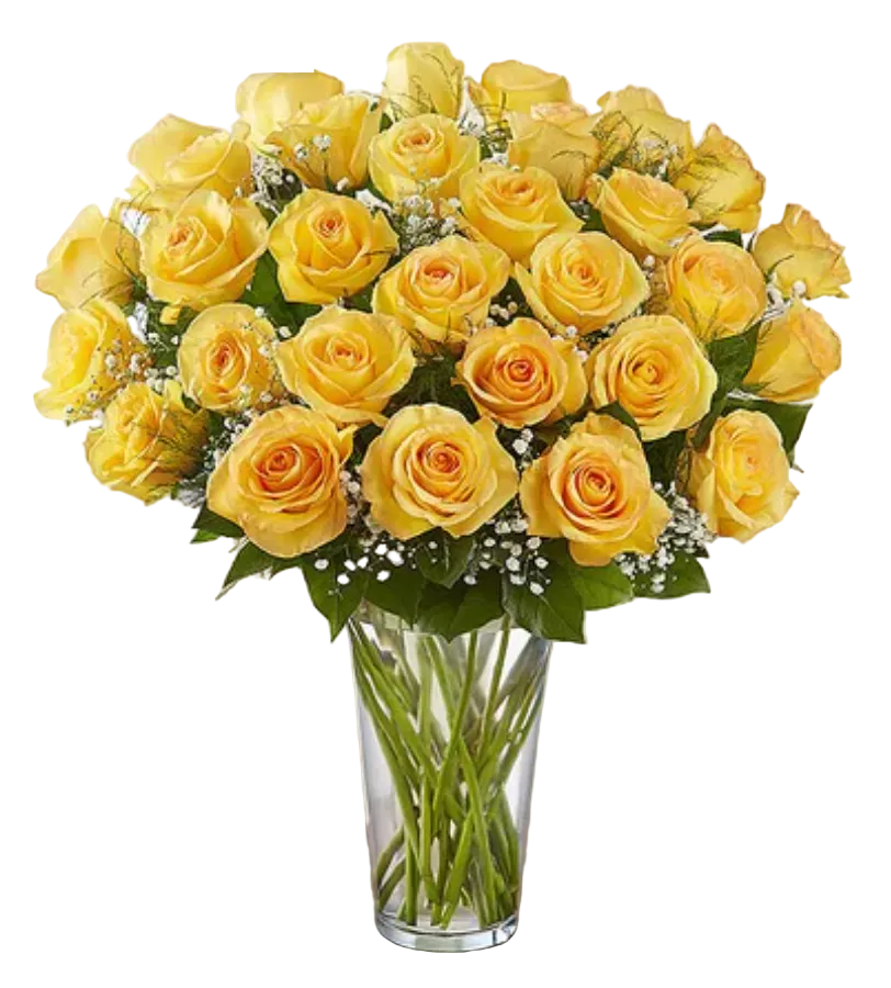 Rose Elegance Premium Long Stem Yellow Roses