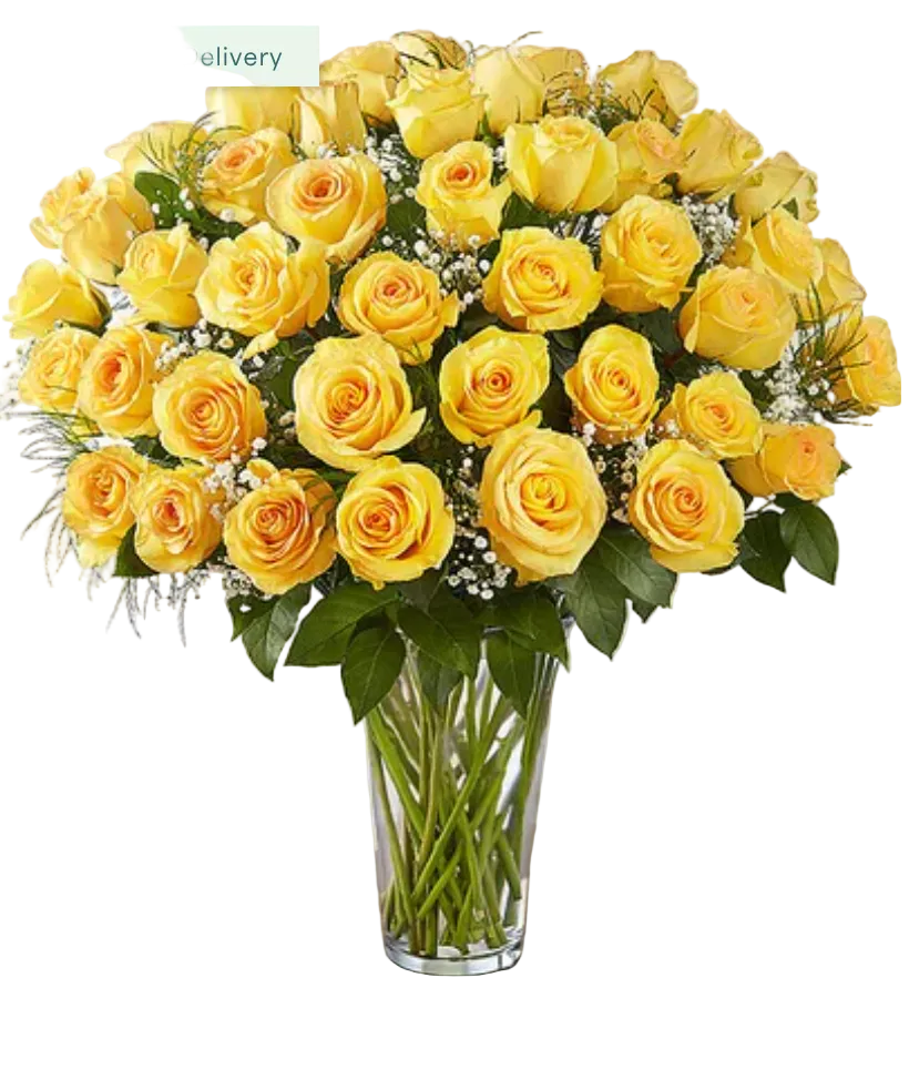 Rose Elegance Premium Long Stem Yellow Roses