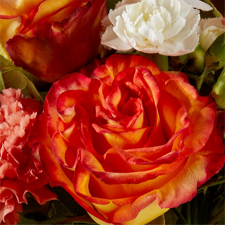 Apricot Glow Bouquet