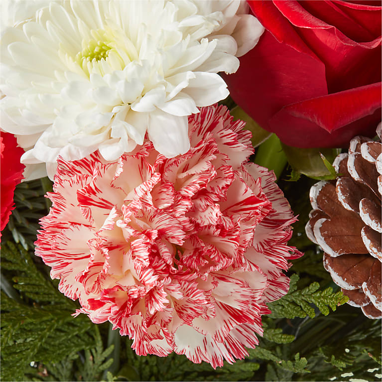Candy Cane Lane Bouquet