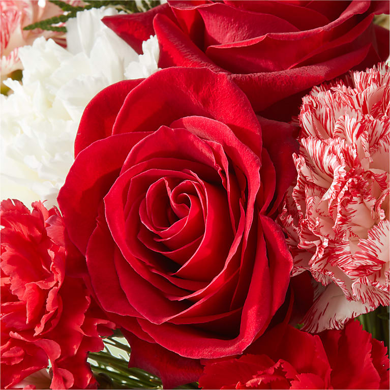 Candy Cane Lane Bouquet