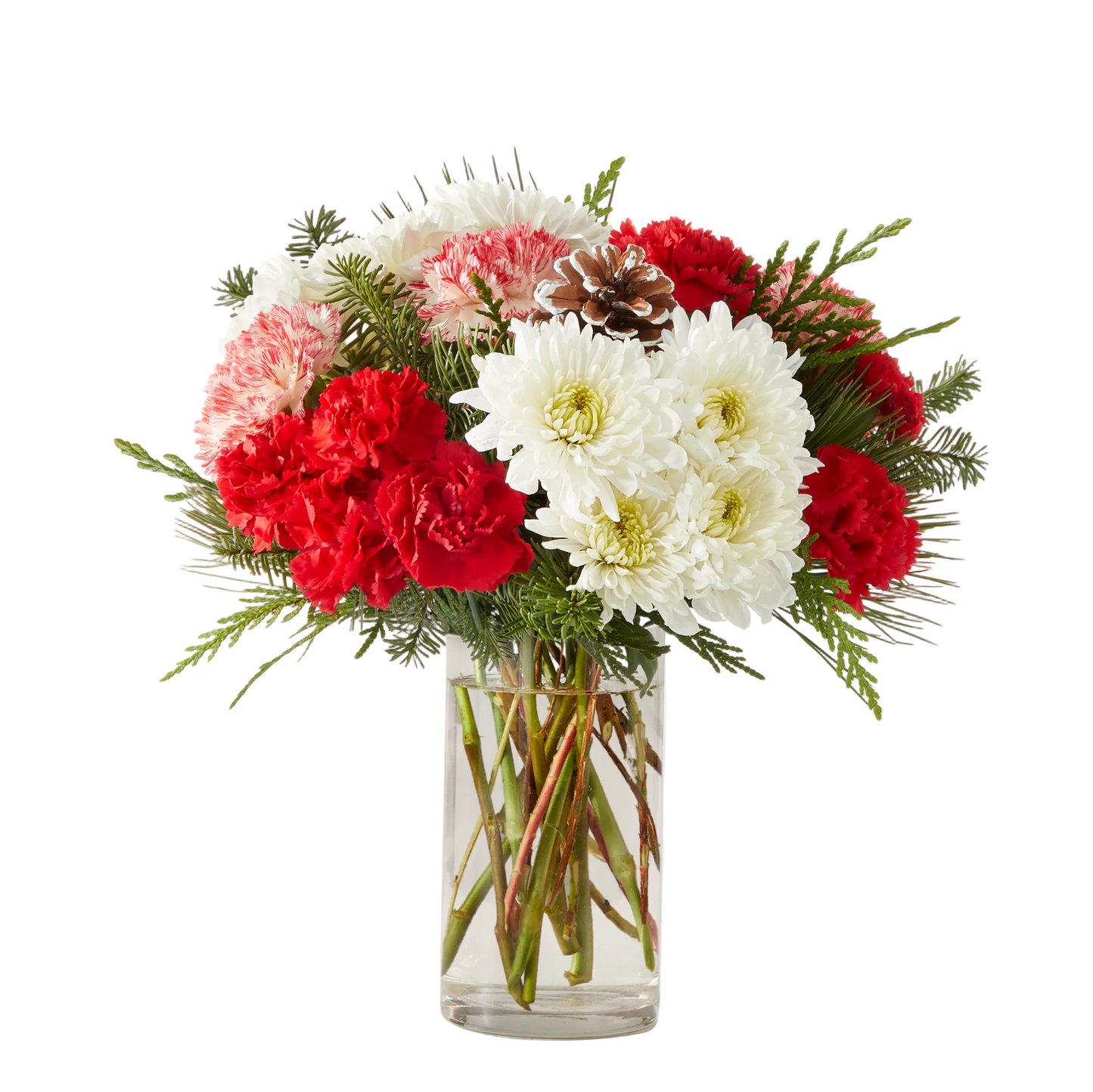 Ramo Candy Cane Lane