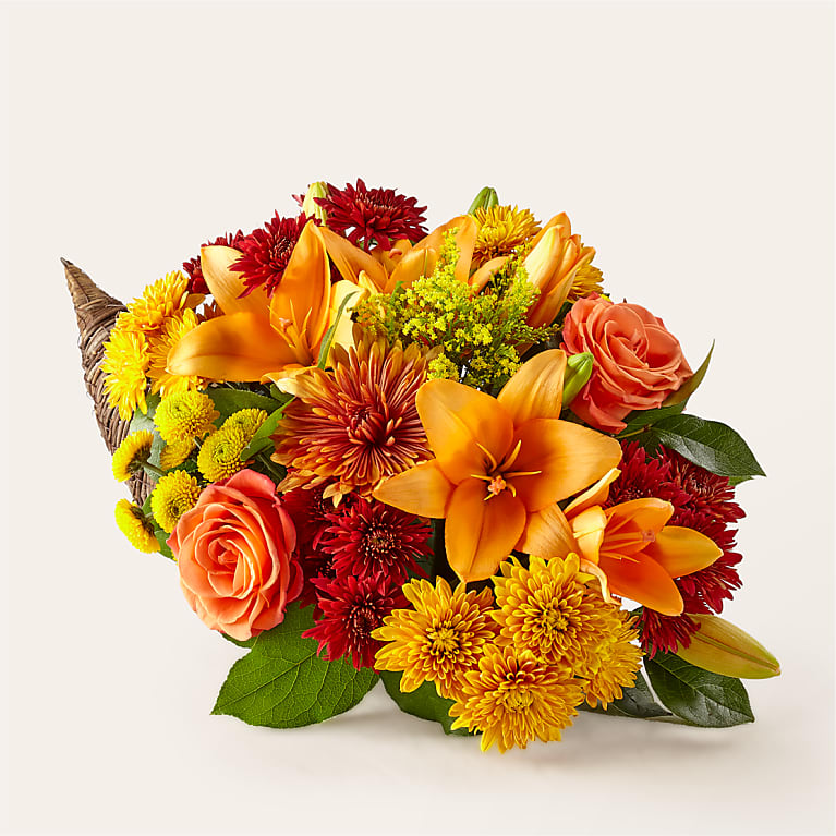 Feast of Color Cornucopia