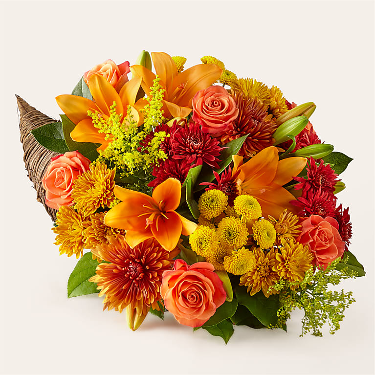 Feast of Color Cornucopia
